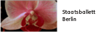 Staatsballett Berlin